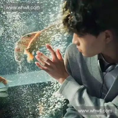 荣葵海